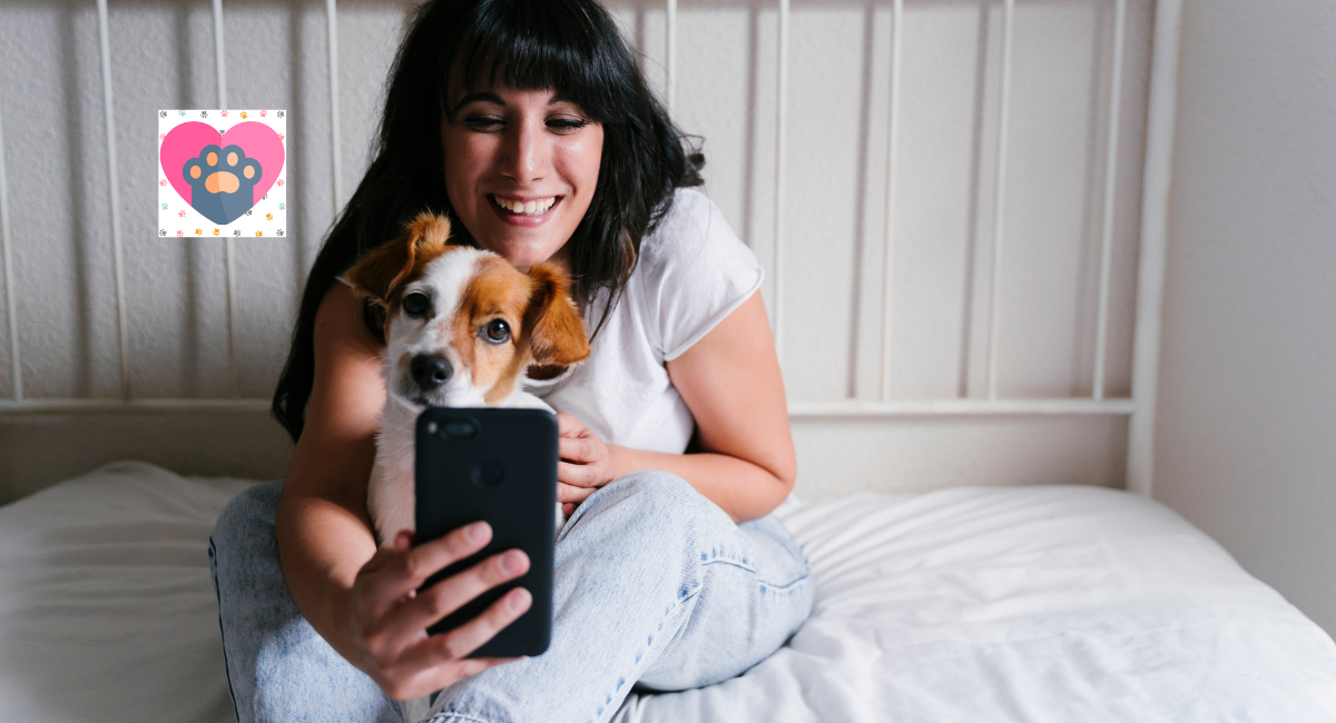 5 Reasons Why You Need An Indoor Pet Camera
